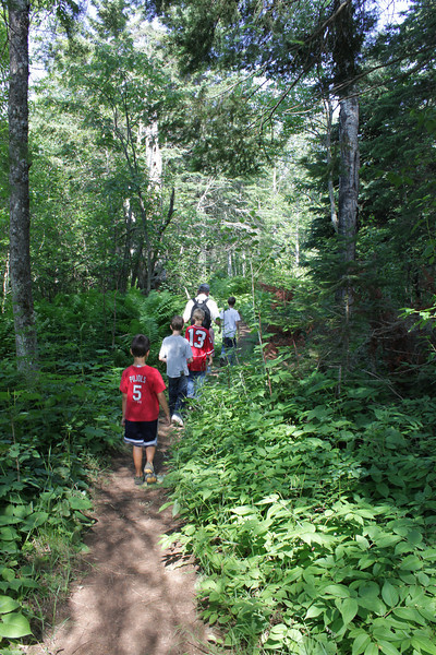 On the trail to the Ojibway Lookout Tower